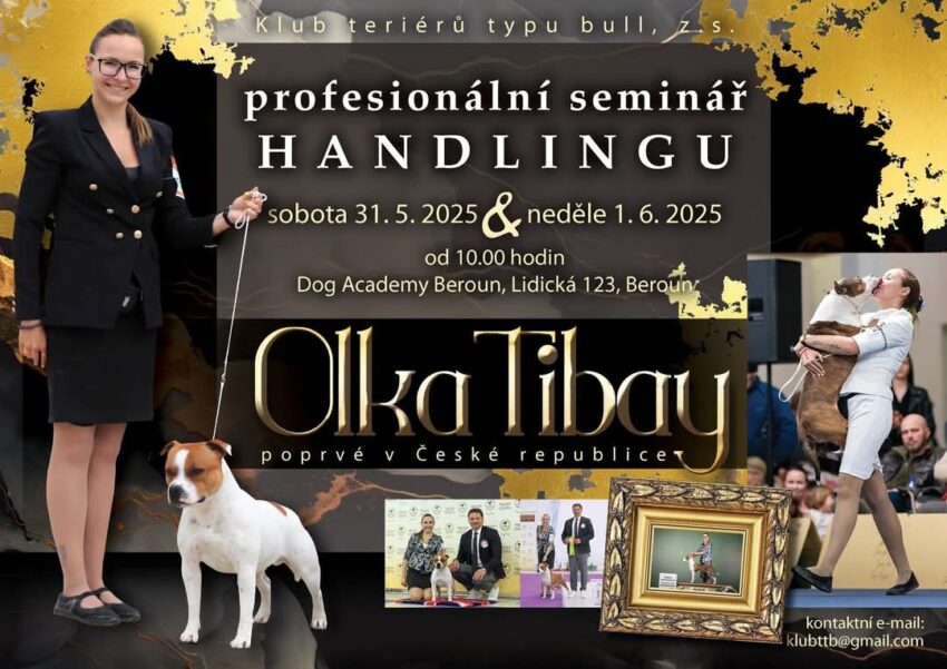 handling psů