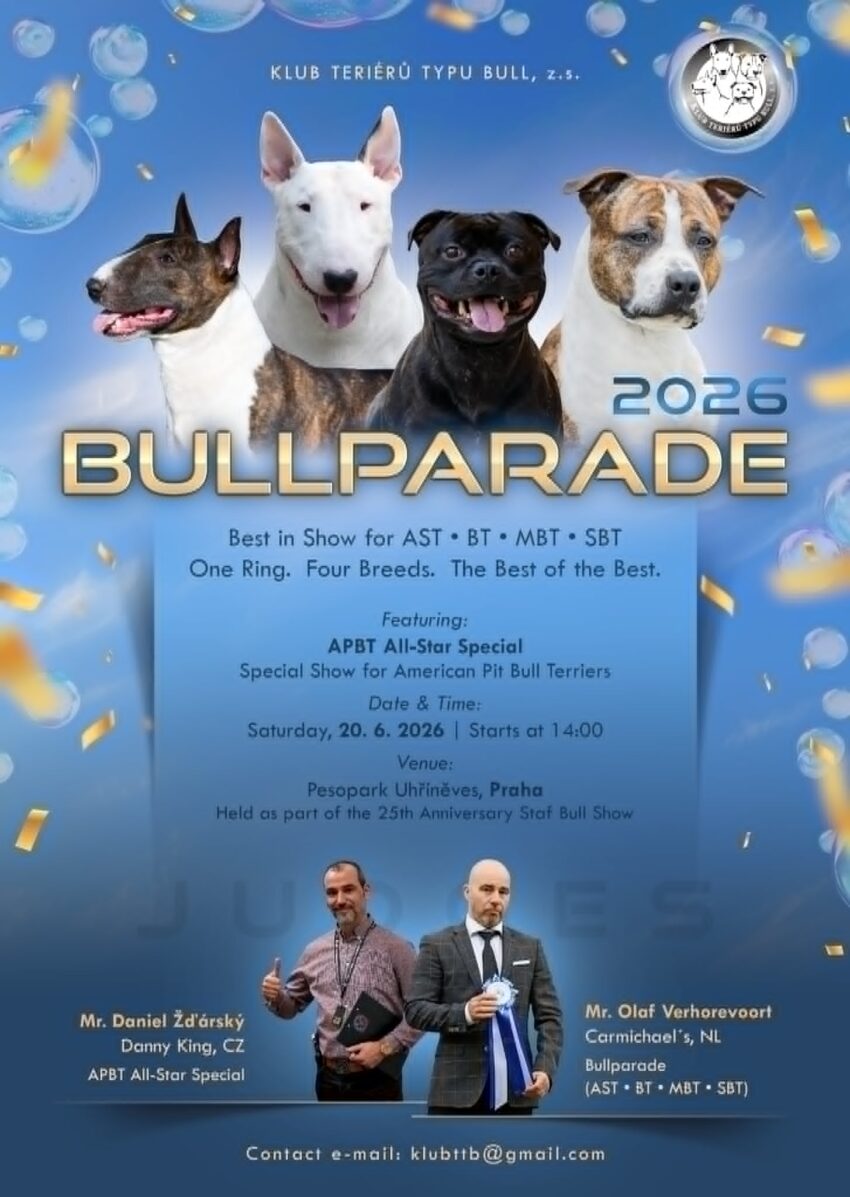 Bullparade